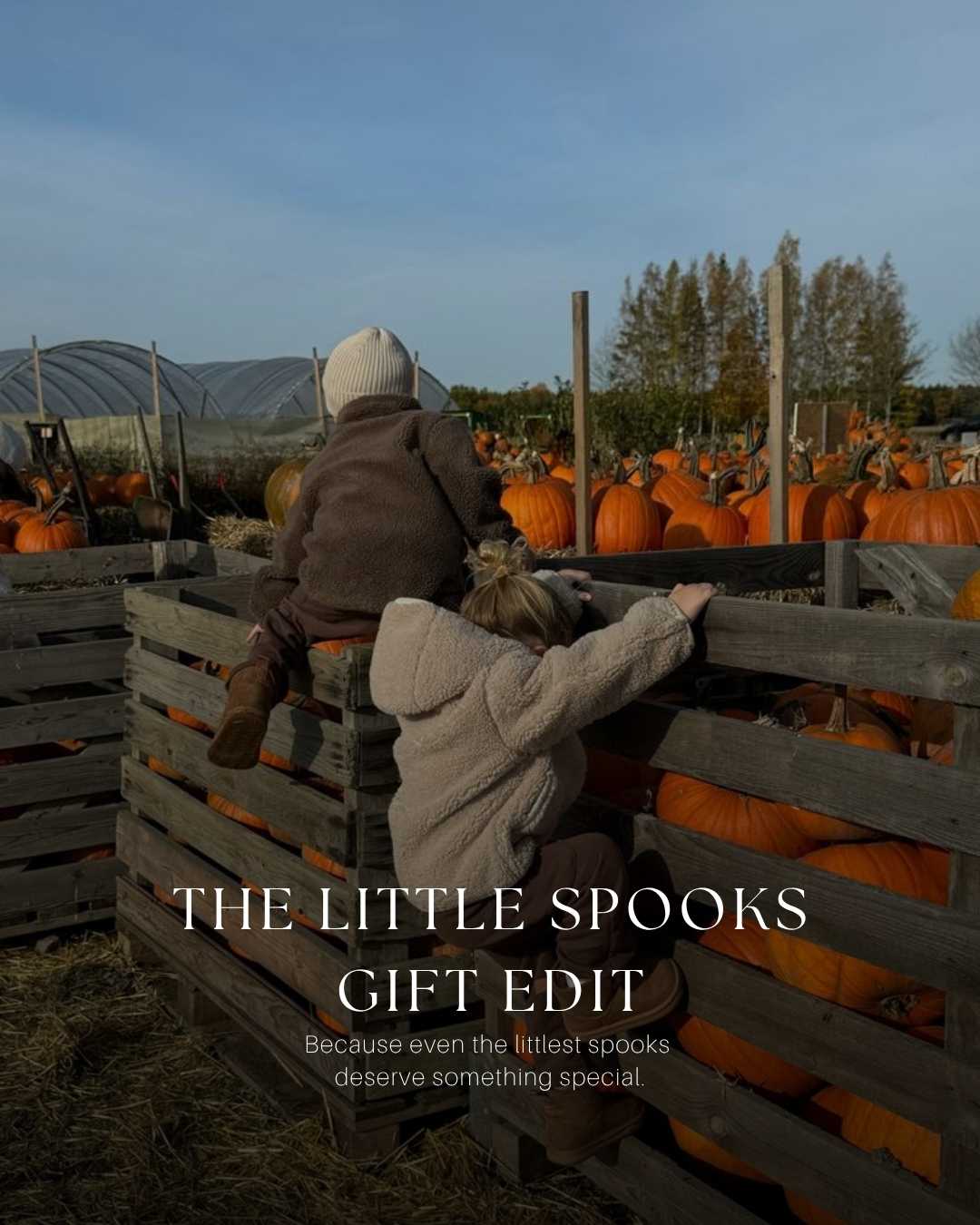 The Little Spooks Gift Edit