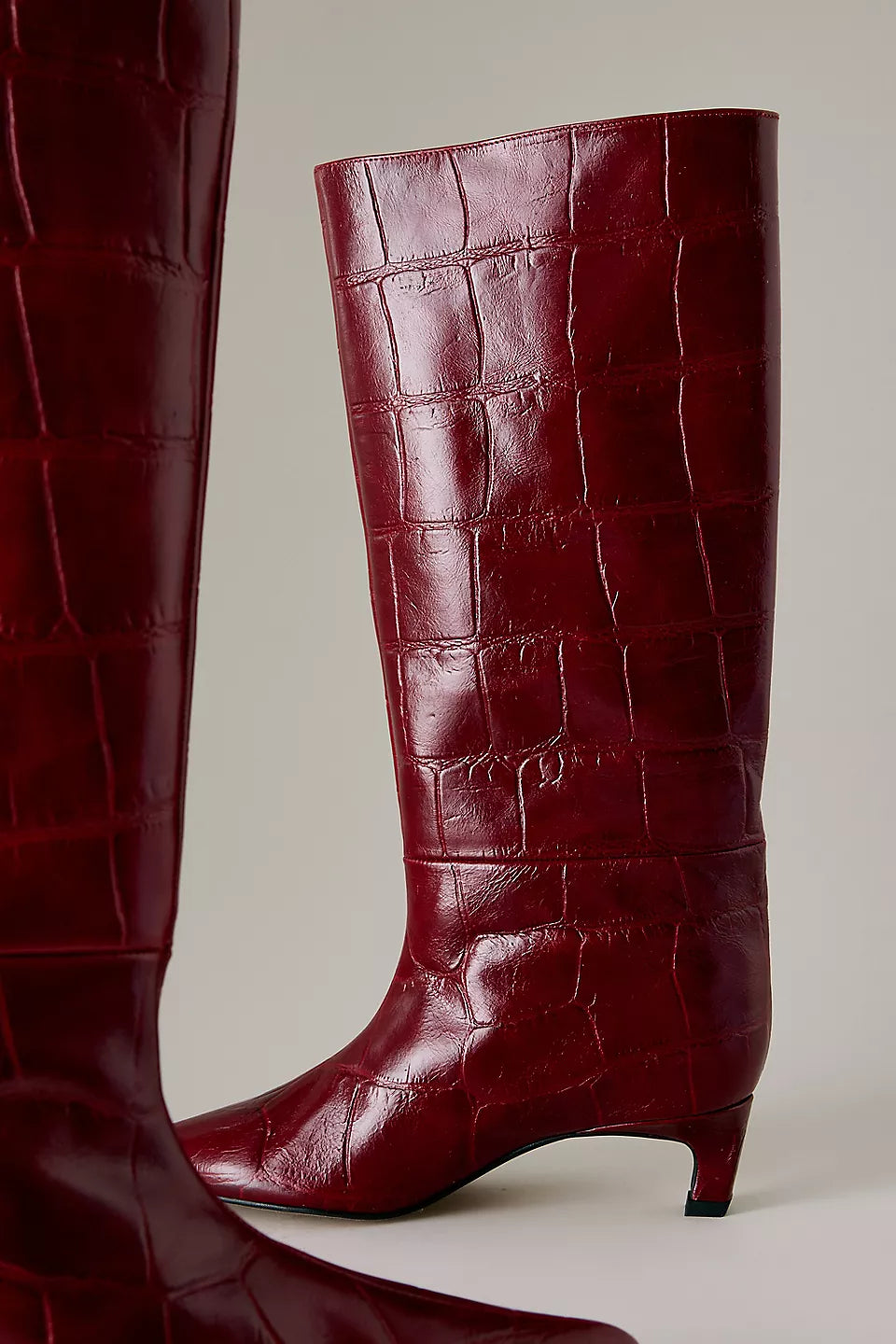 Anthropologie Tall Pointed-Toe Boots