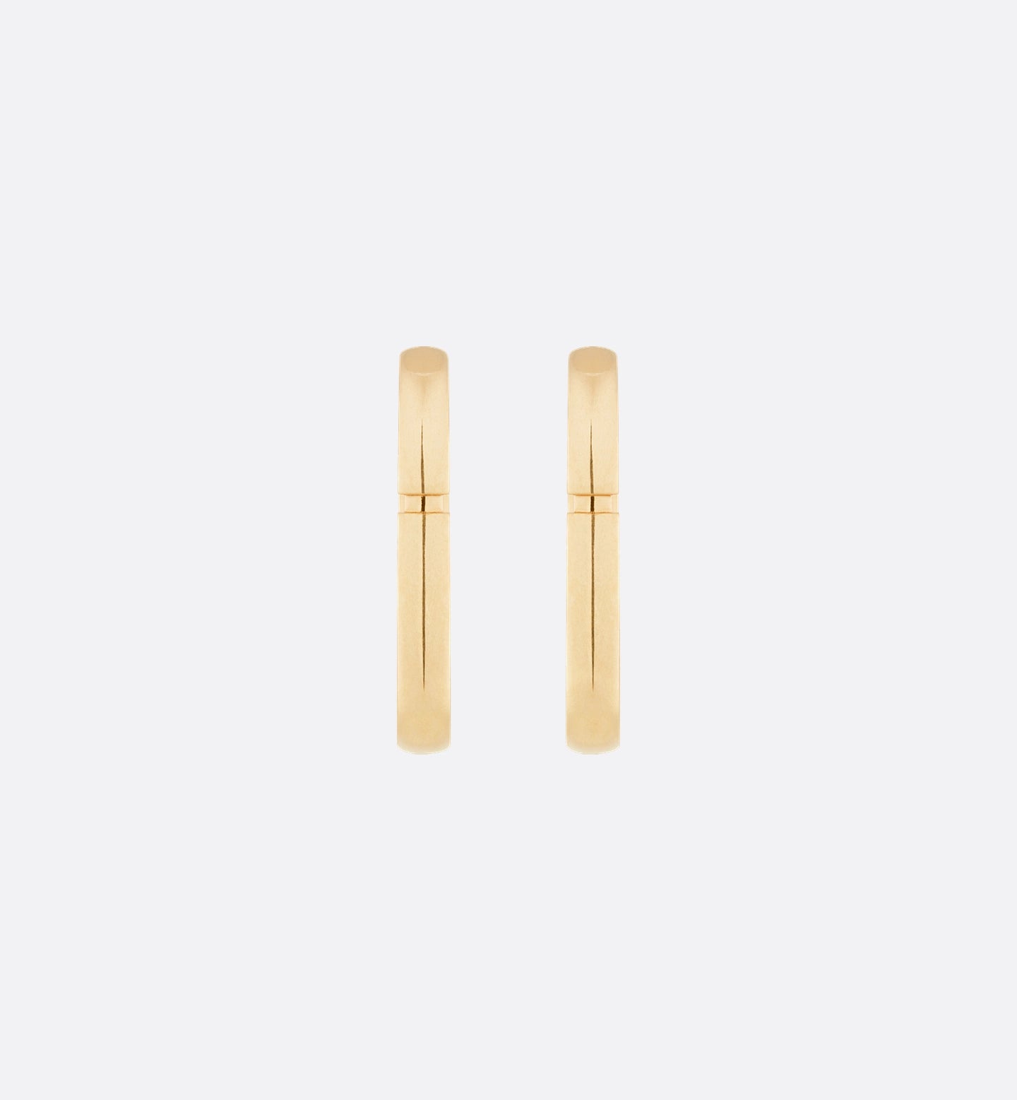 Dior Montaigne Earrings