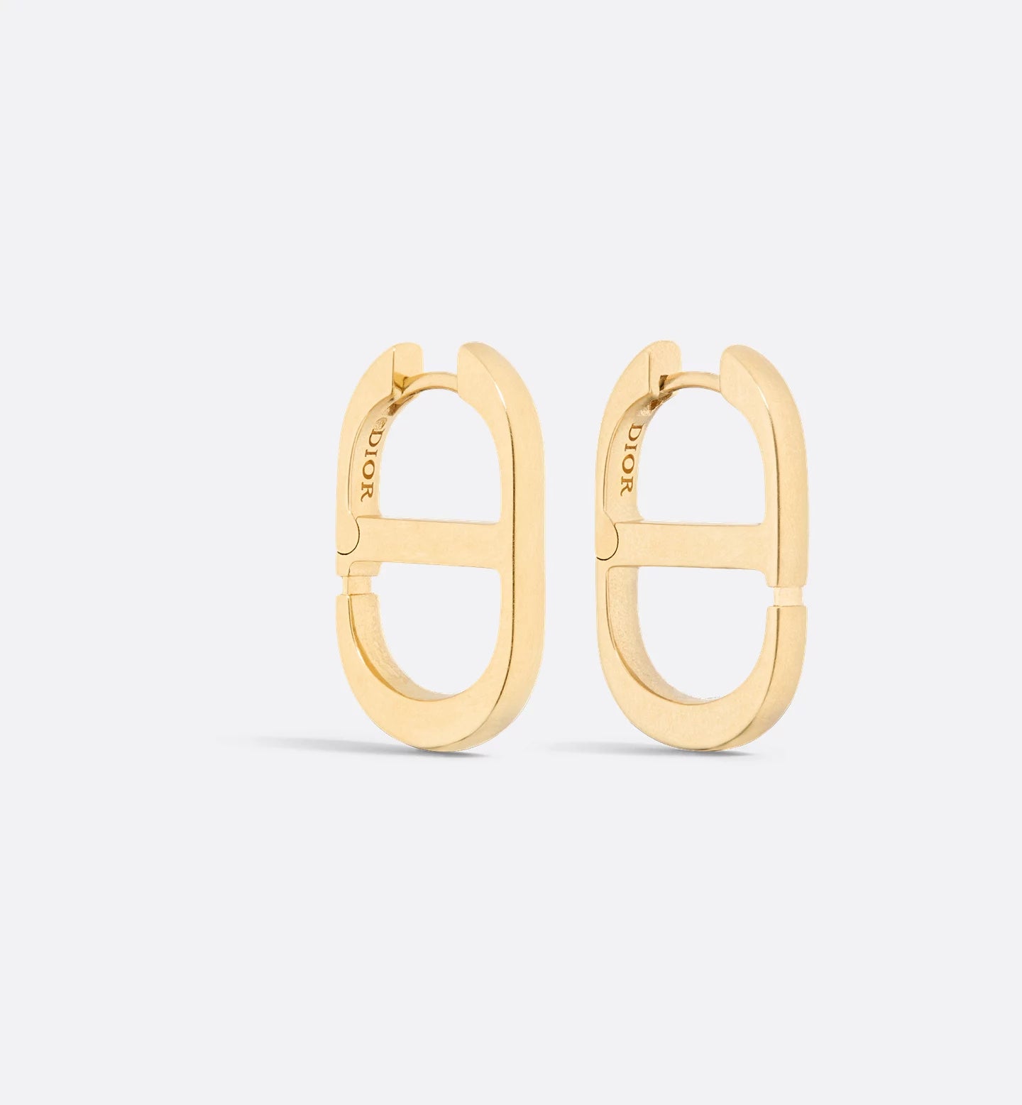 Dior Montaigne Earrings