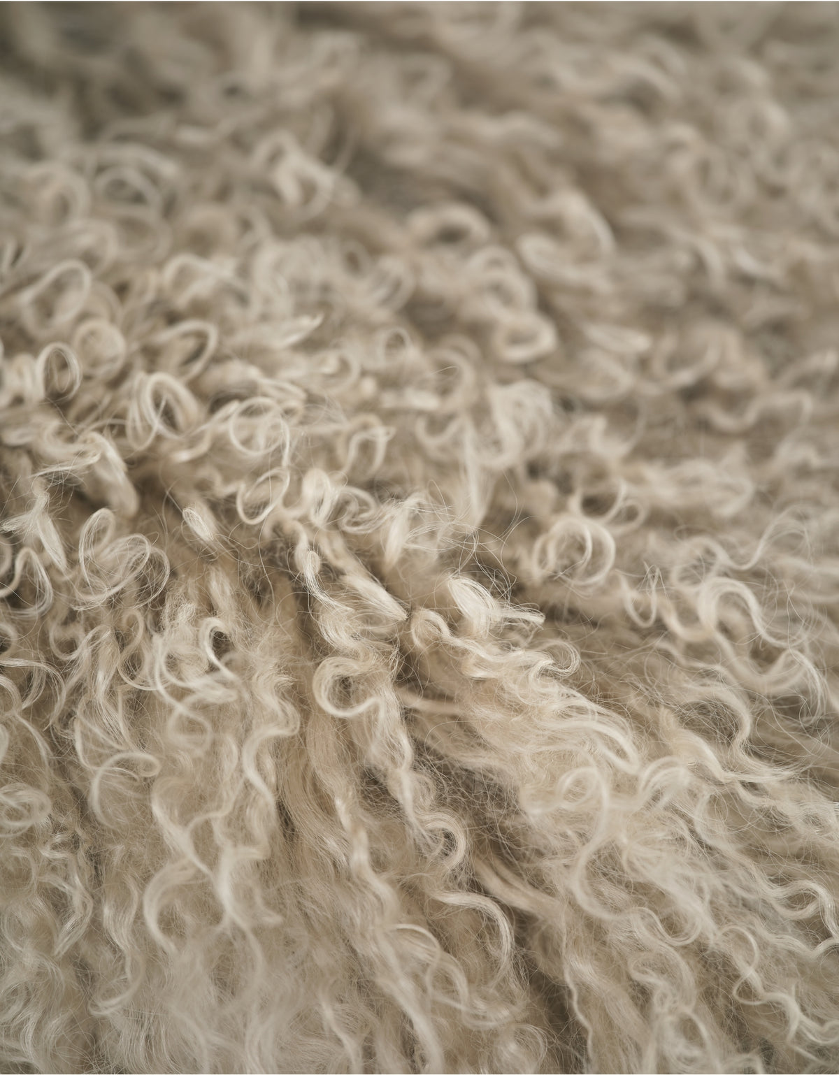 Tibetan Sheepskin Cushion | The  White Company