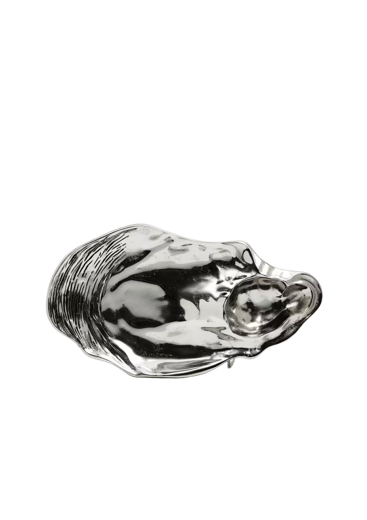Oyster Shell Chip And Dip